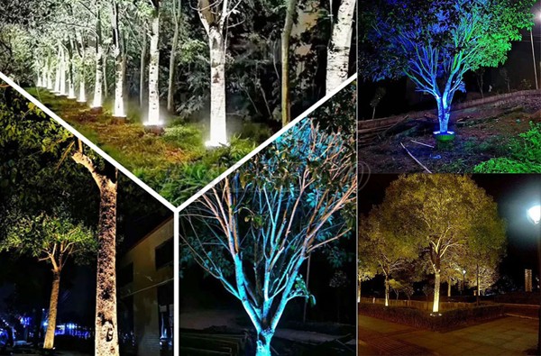Ứng dụng của đèn chiếu sân vườn HLOG19-3 RGB