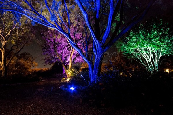 Ứng dụng của đèn chiếu cây xanh HLOG21-24 RGB